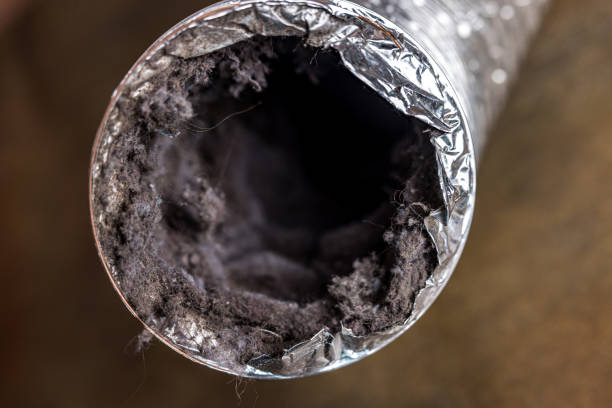 Best Affordable Duct Cleaning Services  in Bay Harbor Islands, FL