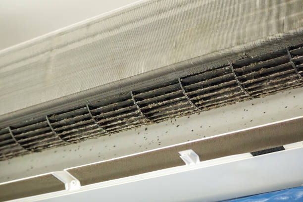 Best Air Vent Cleaning Services  in Bay Harbor Islands, FL